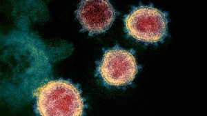 Coronavirus